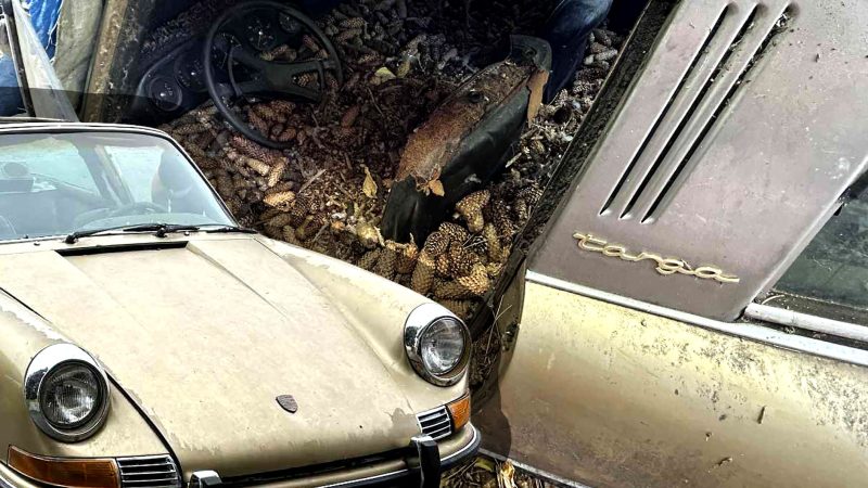 This Porsche 911 Targa Was Buried Under Pine Cones For 31 Years Until Now