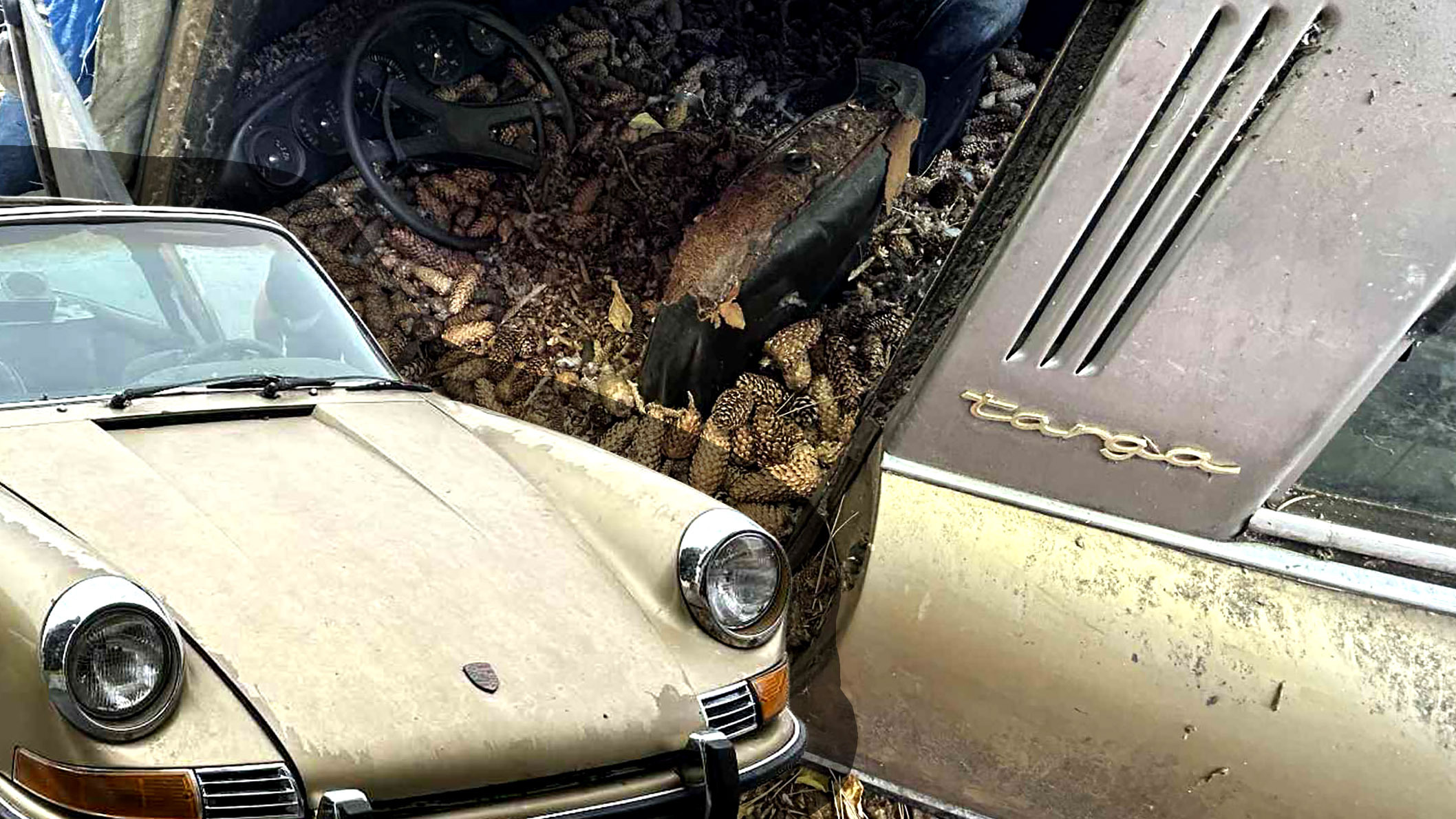 This Porsche 911 Targa Was Buried Under Pine Cones For 31 Years Until Now
